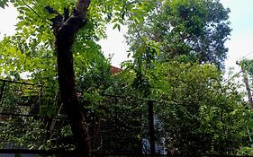 White Shore Beach Homestay